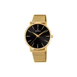 FESTINA