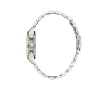 FREELOOK – Image 3