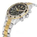 FREELOOK – Image 2