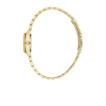 FREELOOK – Image 2