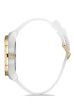 SERGIO TACCHINI – Image 2