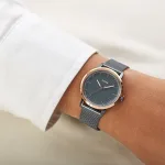 MONTRE FOSSIL – Image 4