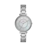 MONTRE FOSSIL