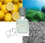 Megamare-Orto Parisi-Extrait de Parfum-50ml – Image 3