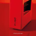 Mauboussin - Pour Lui 100ml - Eau de Parfum Homme – Image 7