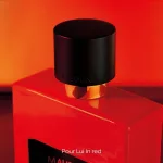 Mauboussin - Pour Lui 100ml - Eau de Parfum Homme – Image 6