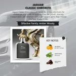 Jaguar Classic Chromite – Image 6