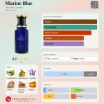 hackett marine blue | Eau de parfum 100 ml – Image 3
