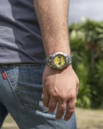Festina – Image 3